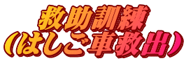 救助訓練 (はしご車救出)