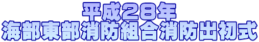 平成28年 海部東部消防組合消防出初式